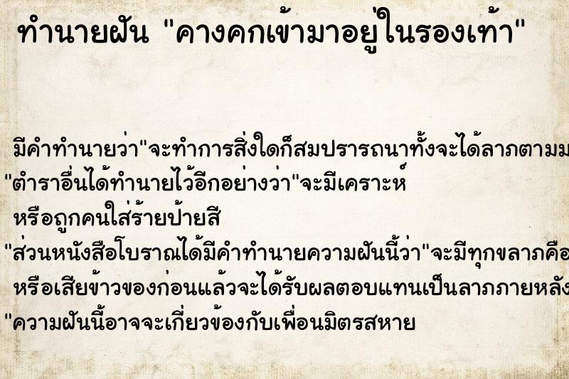 ทำนายฝัน คางคกเข้ามาอยู่ในรองเท้า