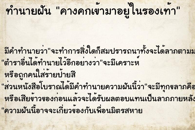 ทำนายฝัน คางคกเข้ามาอยู่ในรองเท้า ตำราโบราณ แม่นที่สุดในโลก