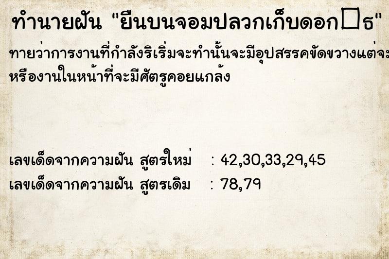 ทำนายฝันยืนบนจอมปลวกเก็บดอก�¸ ทำนายฝันทำนายฝันยืนบนจอมปลวกเก็บดอก�¸