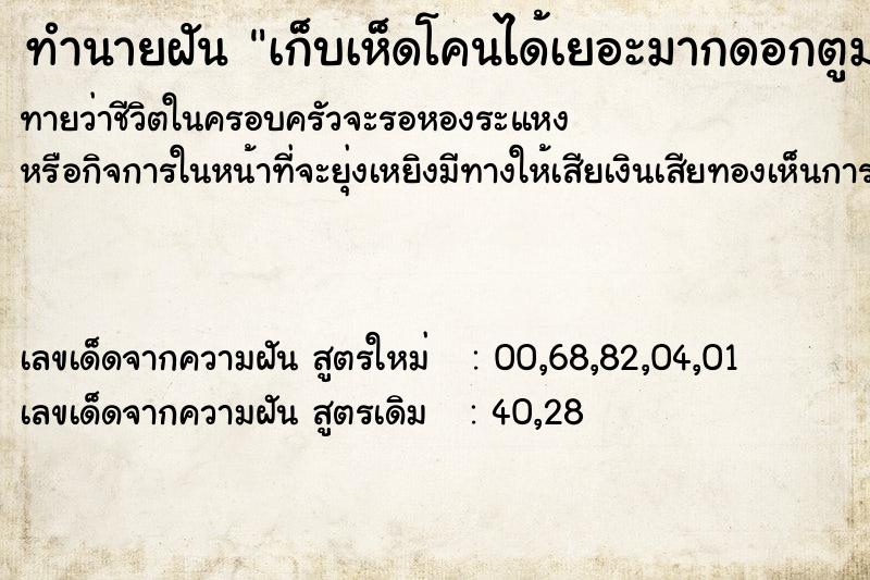 ทำนายฝันเก็บเห็ดโคนได้เยอะมากดอกตูมน่ากิน ทำนายฝันทำนายฝันเก็บเห็ดโคนได้เยอะมากดอกตูมน่ากิน