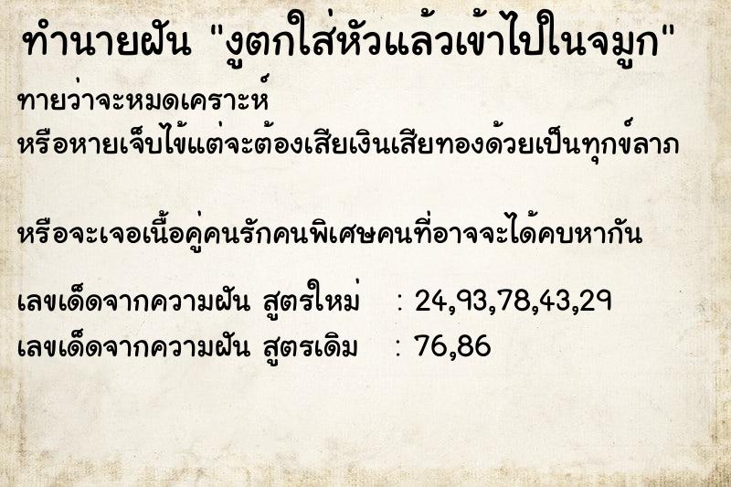 ทำนายฝันงูตกใส่หัวแล้วเข้าไปในจมูก ทำนายฝันทำนายฝันงูตกใส่หัวแล้วเข้าไปในจมูก