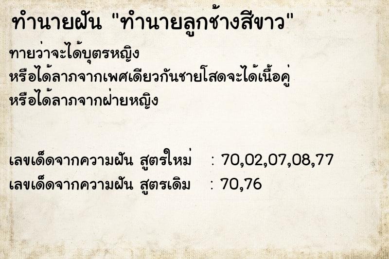 ทำนายฝันทำนายลูกช้างสีขาว ทำนายฝันทำนายฝันทำนายลูกช้างสีขาว