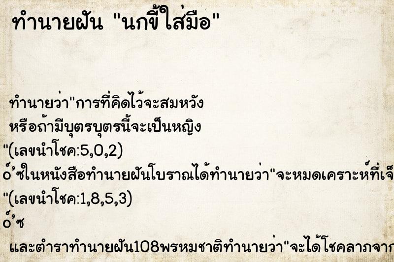 ทำนายฝัน นกขี้ใส่มือ ทำนายฝัน นกขี้ใส่มือ