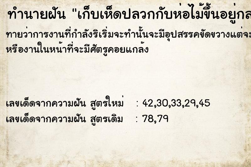 ทำนายฝันทำนายฝันเก็บเห็ดปลวกกับห่อไม้ขึ้นอยู่กลางบ้าน