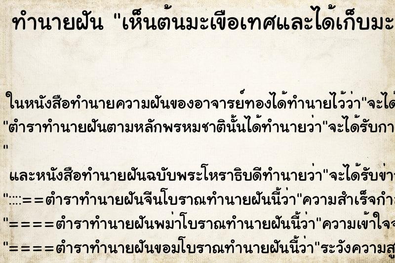 ทำนายฝัน เห็นต้นมะเขือเทศและได้เก็บมะเขือเทศกิน ทำนายฝัน เห็นต้นมะเขือเทศและได้เก็บมะเขือเทศกิน
