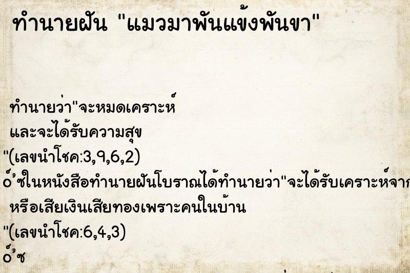 ทำนายฝัน แมวมาพันแข้งพันขา