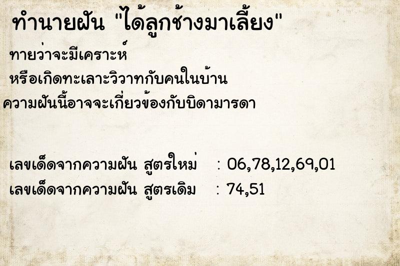 ทำนายฝันทำนายฝันได้ลูกช้างมาเลี้ยง