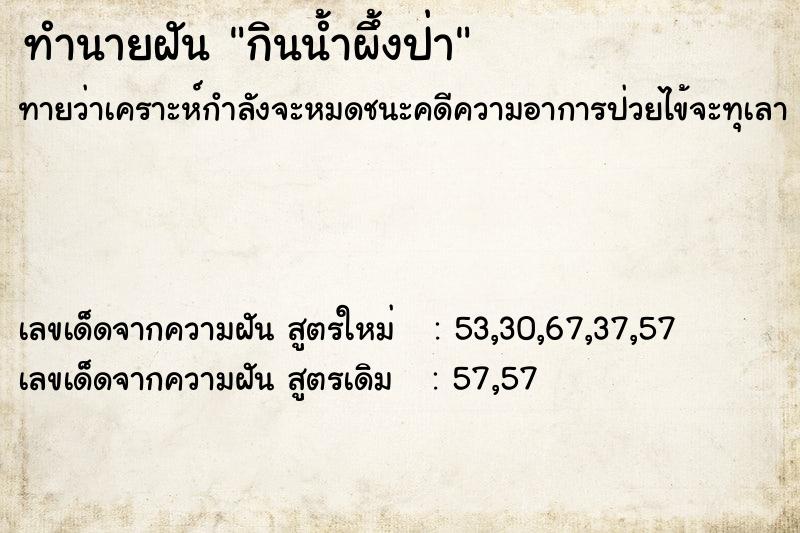 ทำนายฝันกินน้ำผึ้งป่า ทำนายฝันทำนายฝันกินน้ำผึ้งป่า