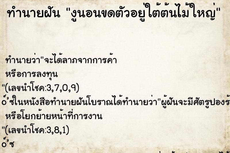 ทำนายฝัน งูนอนขดตัวอยู่ใต้ต้นไม้ใหญ่ ทำนายฝัน งูนอนขดตัวอยู่ใต้ต้นไม้ใหญ่