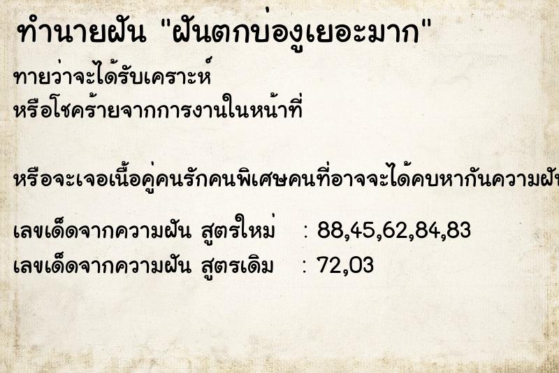 ทำนายฝันทำนายฝันฝันตกบ่องูเยอะมาก
