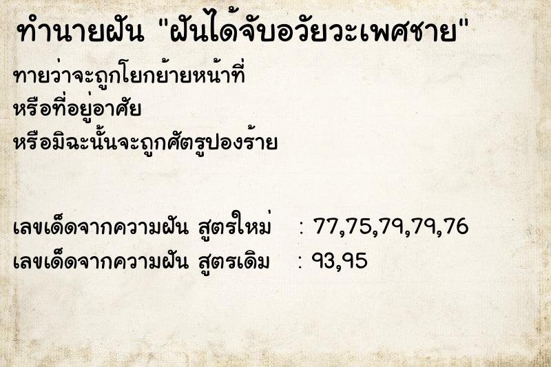 ทำนายฝันฝันได้จับอวัยวะเพศชาย ทำนายฝันทำนายฝันฝันได้จับอวัยวะเพศชาย