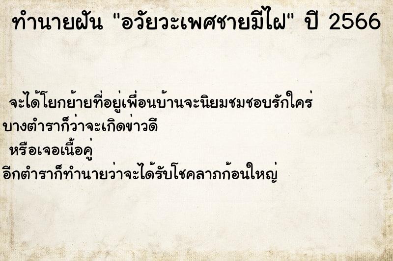 ทำนายฝันอวัยวะเพศชายมีไฝ ทำนายฝันทำนายฝันอวัยวะเพศชายมีไฝ