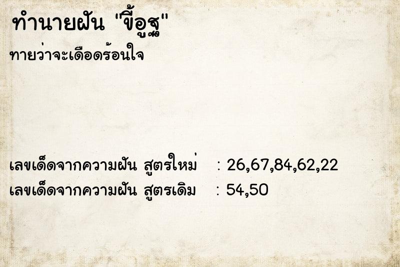 ทำนายฝันทำนายฝันขี้อูฐ