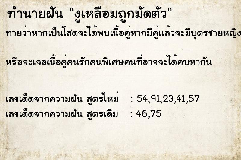 ทำนายฝันงูเหลือมถูกมัดตัว ทำนายฝันทำนายฝันงูเหลือมถูกมัดตัว