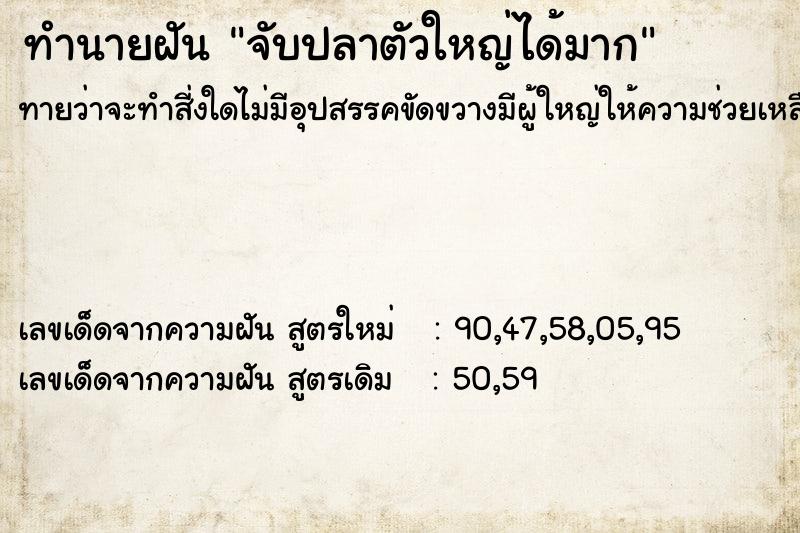 ทำนายฝันจับปลาตัวใหญ่ได้มาก ทำนายฝันทำนายฝันจับปลาตัวใหญ่ได้มาก