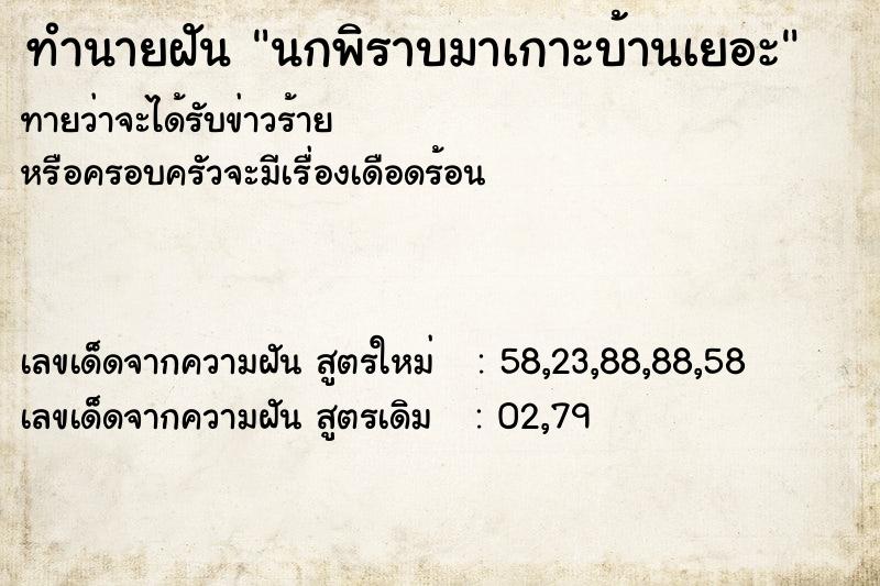 ทำนายฝันนกพิราบมาเกาะบ้านเยอะ ทำนายฝันทำนายฝันนกพิราบมาเกาะบ้านเยอะ