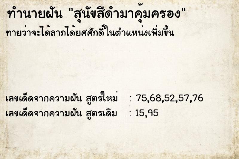 ทำนายฝันสุนัขสีดำมาคุ้มครอง ทำนายฝันทำนายฝันสุนัขสีดำมาคุ้มครอง