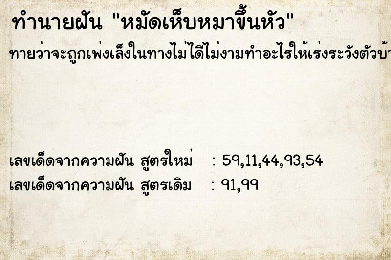 ทำนายฝันทำนายฝันหมัดเห็บหมาขึ้นหัว