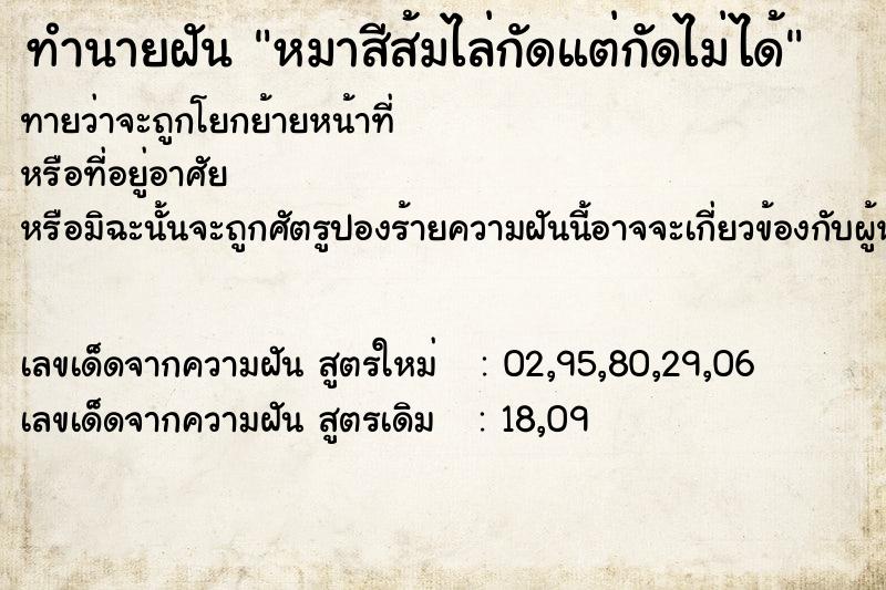 ทำนายฝันทำนายฝันหมาสีส้มไล่กัดแต่กัดไม่ได้