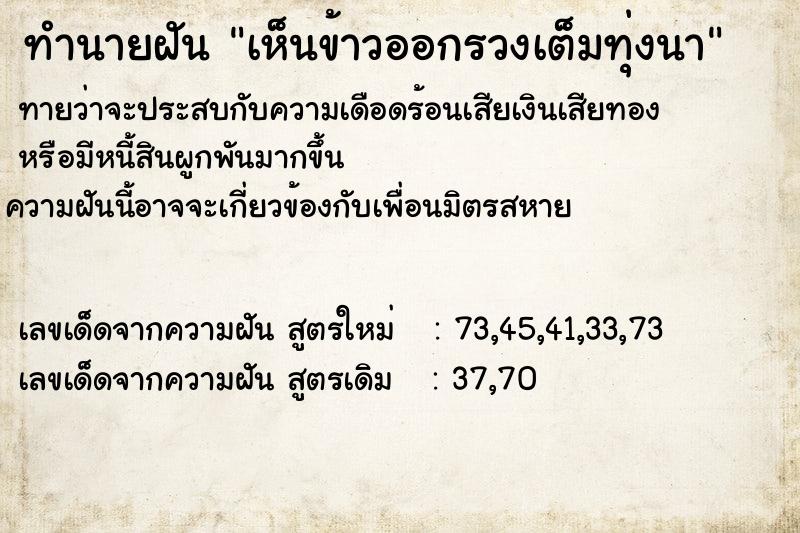ทำนายฝัน เห็นข้าวออกรวงเต็มทุ่งนา ทำนายฝัน เห็นข้าวออกรวงเต็มทุ่งนา