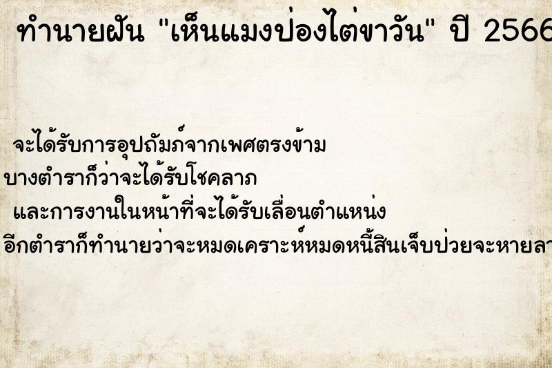 ทำนายฝันทำนายฝันเห็นแมงป่องไต่ขาวัน