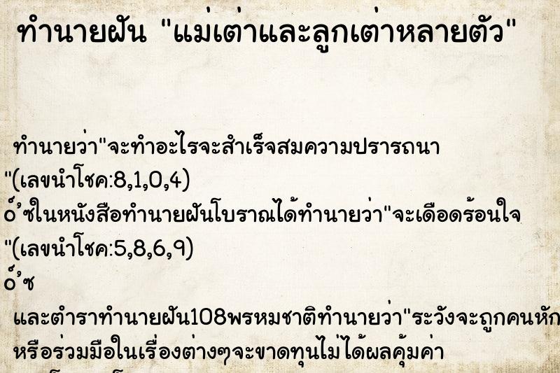ทำนายฝัน แม่เต่าและลูกเต่าหลายตัว ทำนายฝัน แม่เต่าและลูกเต่าหลายตัว
