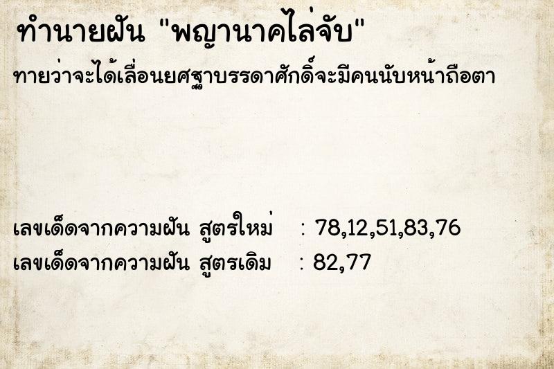 ทำนายฝันพญานาคไล่จับ ทำนายฝันทำนายฝันพญานาคไล่จับ