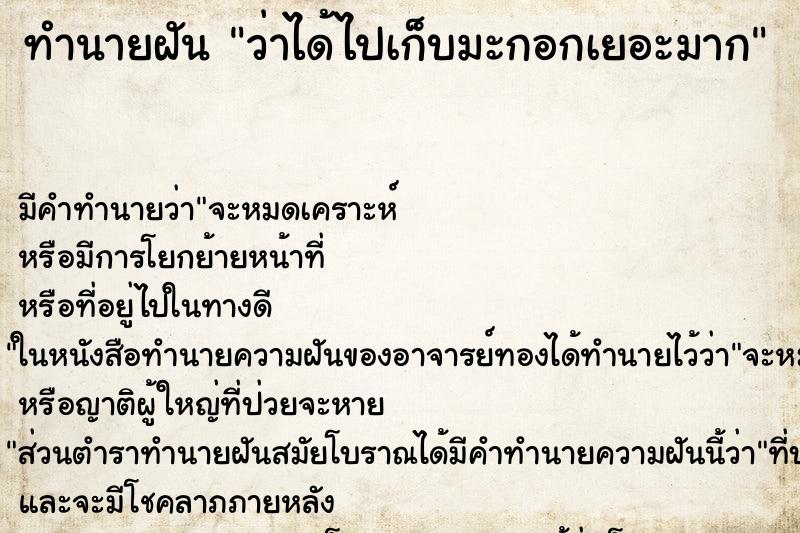 ทำนายฝัน ว่าได้ไปเก็บมะกอกเยอะมาก ทำนายฝัน ว่าได้ไปเก็บมะกอกเยอะมาก