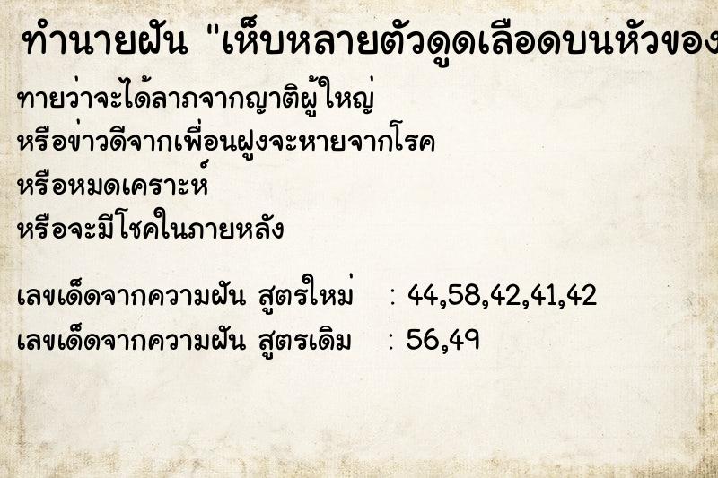 ทำนายฝันทำนายฝันเห็บหลายตัวดูดเลือดบนหัวของตัวเอง