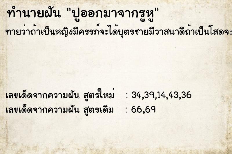 ทำนายฝันปูออกมาจากรูหู ทำนายฝันทำนายฝันปูออกมาจากรูหู