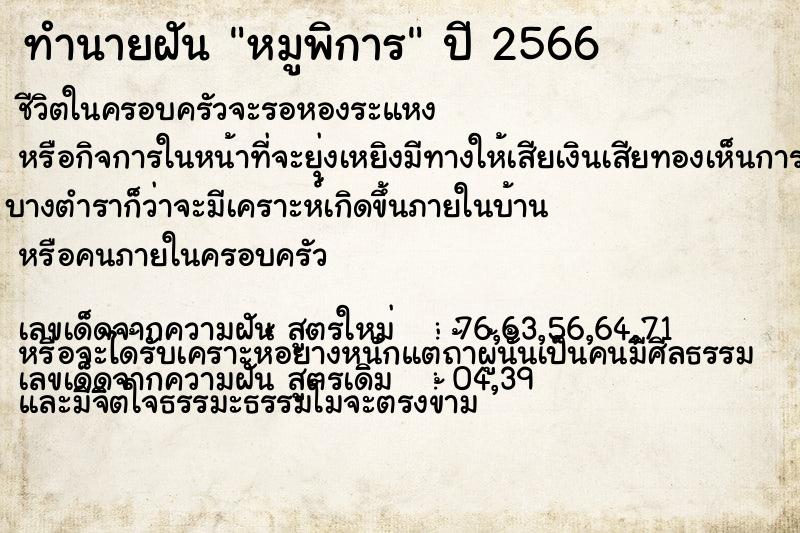 ทำนายฝัน หมูพิการ