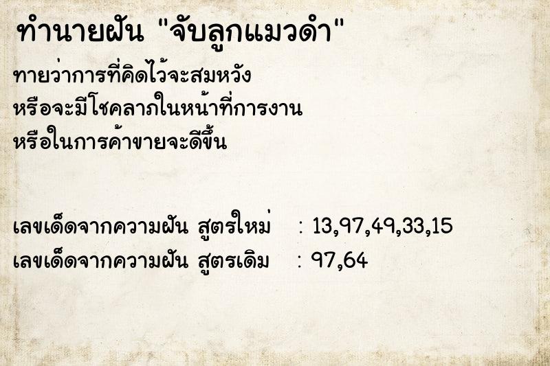 ทำนายฝันจับลูกแมวดำ ทำนายฝันทำนายฝันจับลูกแมวดำ