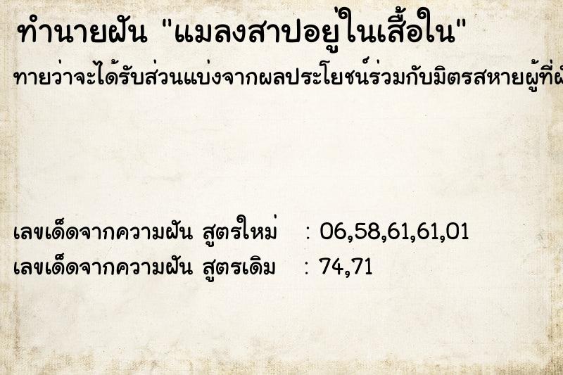 ทำนายฝัน แมลงสาปอยู่ในเสื้อใน ทำนายฝัน แมลงสาปอยู่ในเสื้อใน