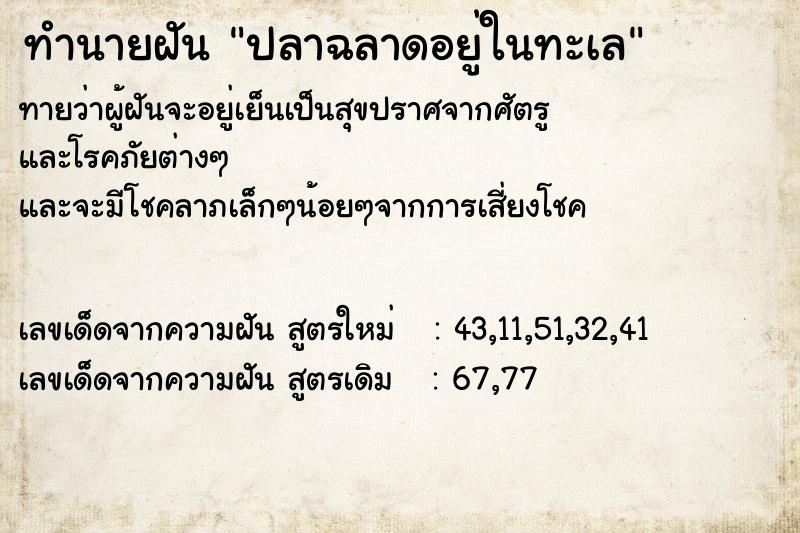 ทำนายฝันปลาฉลาดอยู่ในทะเล ทำนายฝันทำนายฝันปลาฉลาดอยู่ในทะเล
