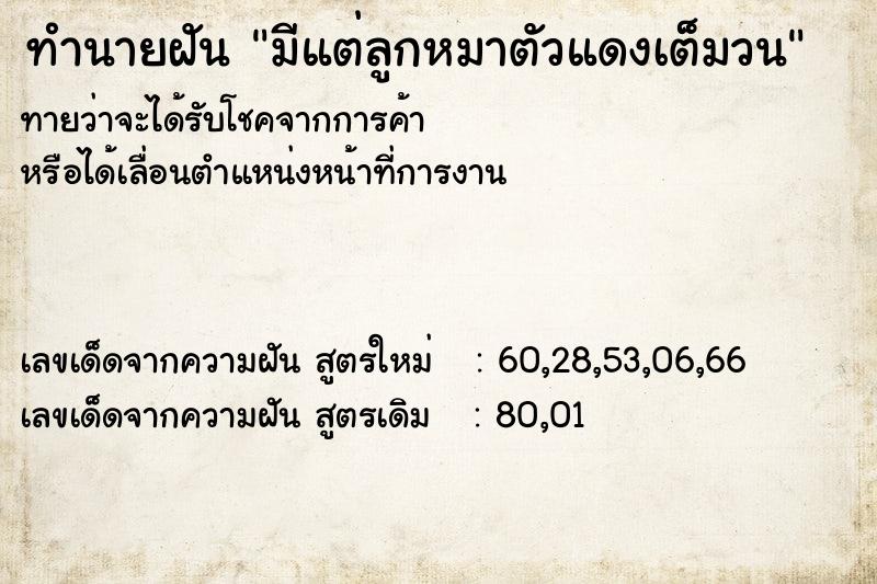 ทำนายฝันทำนายฝันมีแต่ลูกหมาตัวแดงเต็มวน