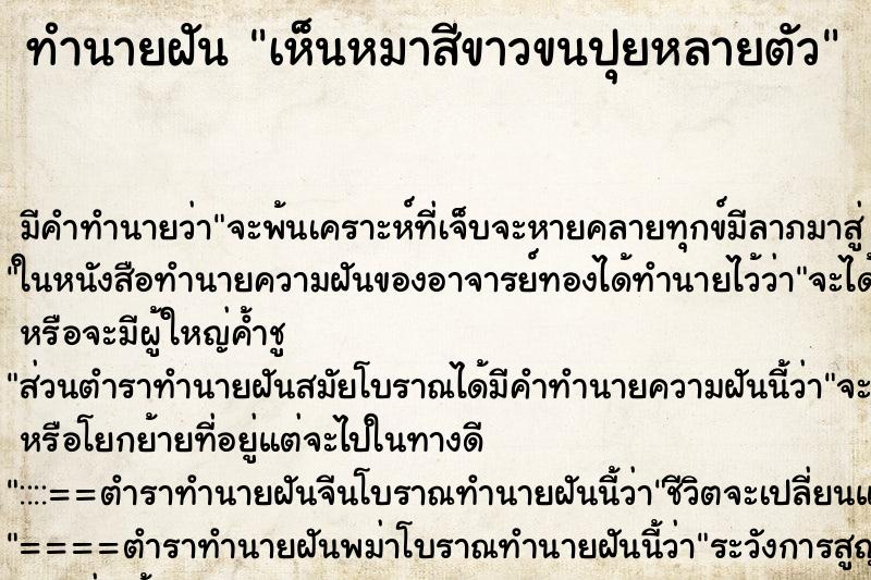 ทำนายฝัน เห็นหมาสีขาวขนปุยหลายตัว ทำนายฝัน เห็นหมาสีขาวขนปุยหลายตัว