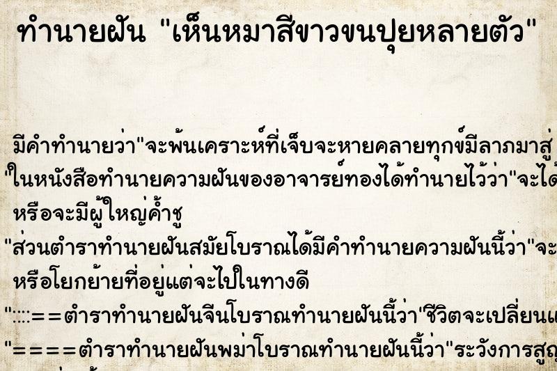 ทำนายฝัน เห็นหมาสีขาวขนปุยหลายตัว ตำราโบราณ แม่นที่สุดในโลก