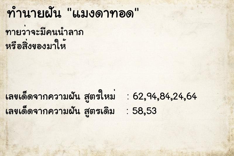 ทำนายฝันแมงดาทอด ทำนายฝันทำนายฝันแมงดาทอด