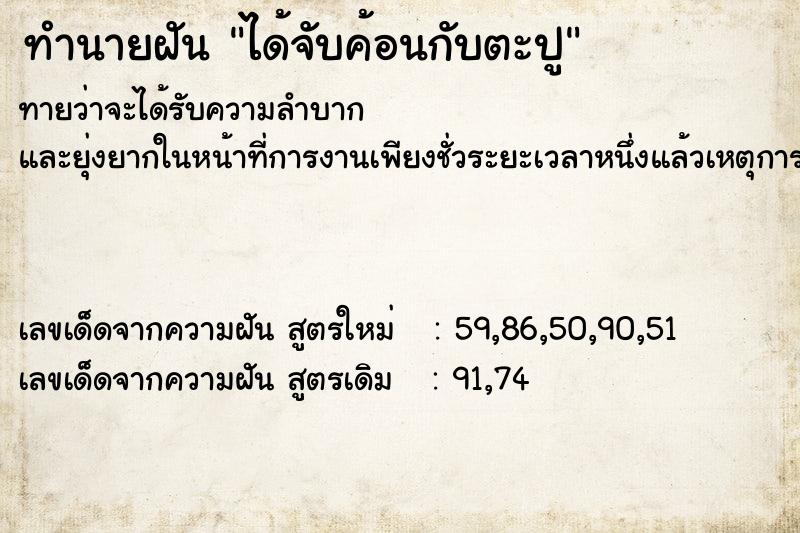 ทำนายฝัน ได้จับค้อนกับตะปู ทำนายฝัน ได้จับค้อนกับตะปู