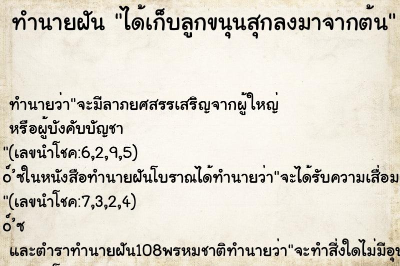 ทำนายฝัน ได้เก็บลูกขนุนสุกลงมาจากต้น