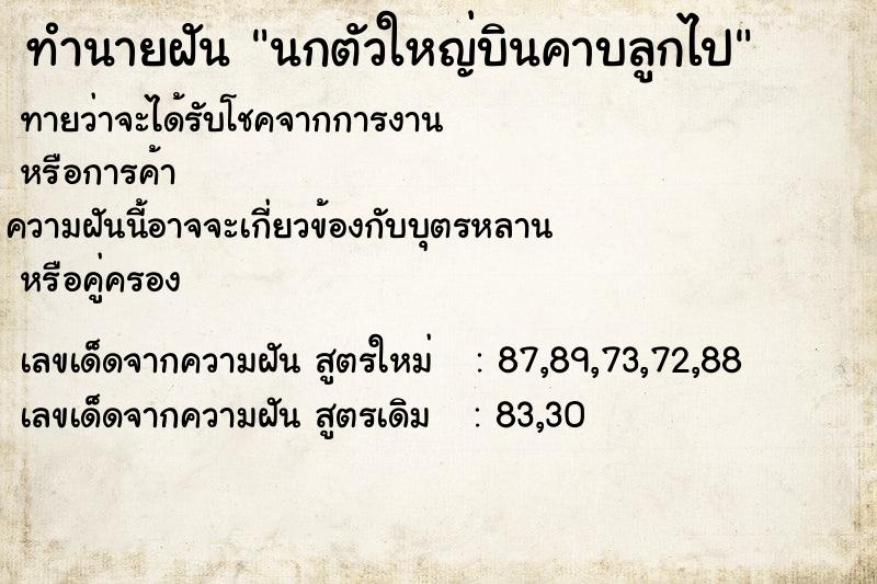 ทำนายฝันทำนายฝันนกตัวใหญ่บินคาบลูกไป