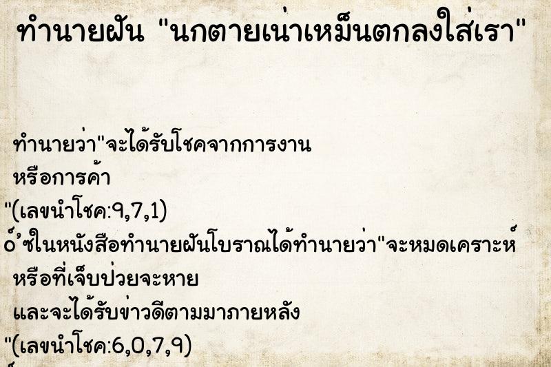 ทำนายฝันนกตายเน่าเหม็นตกลงใส่เรา ทำนายฝันทำนายฝันนกตายเน่าเหม็นตกลงใส่เรา