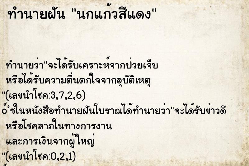 ทำนายฝันทำนายฝันนกแก้วสีแดง