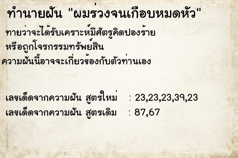 ทำนายฝันผมร่วงจนเกือบหมดหัว ทำนายฝันทำนายฝันผมร่วงจนเกือบหมดหัว