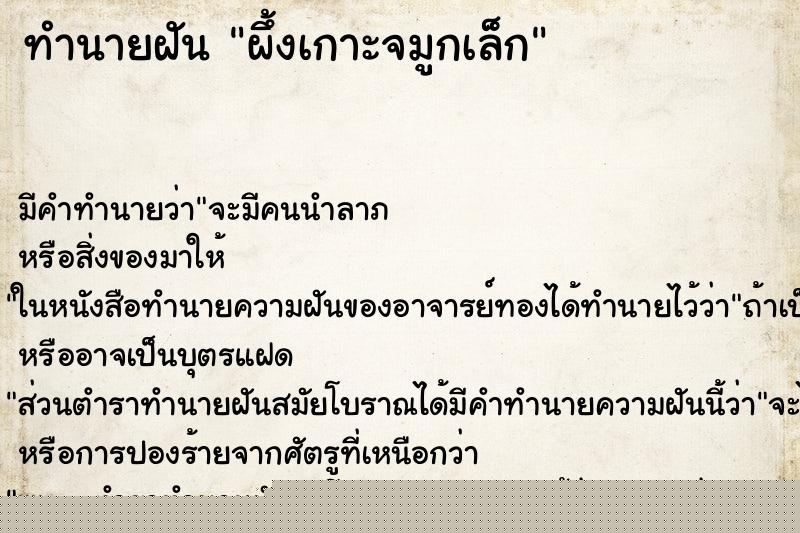 ทำนายฝันทำนายฝันผึ้งเกาะจมูกเล็ก