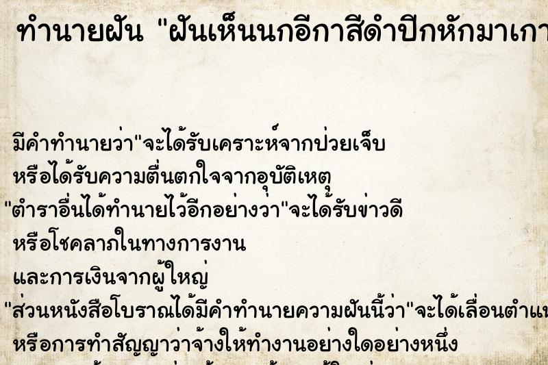 ทำนายฝันฝันเห็นนกอีกาสีดำปีกหักมาเกาะบ้าน ทำนายฝันทำนายฝันฝันเห็นนกอีกาสีดำปีกหักมาเกาะบ้าน