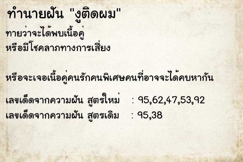 ทำนายฝันงูติดผม ทำนายฝันทำนายฝันงูติดผม