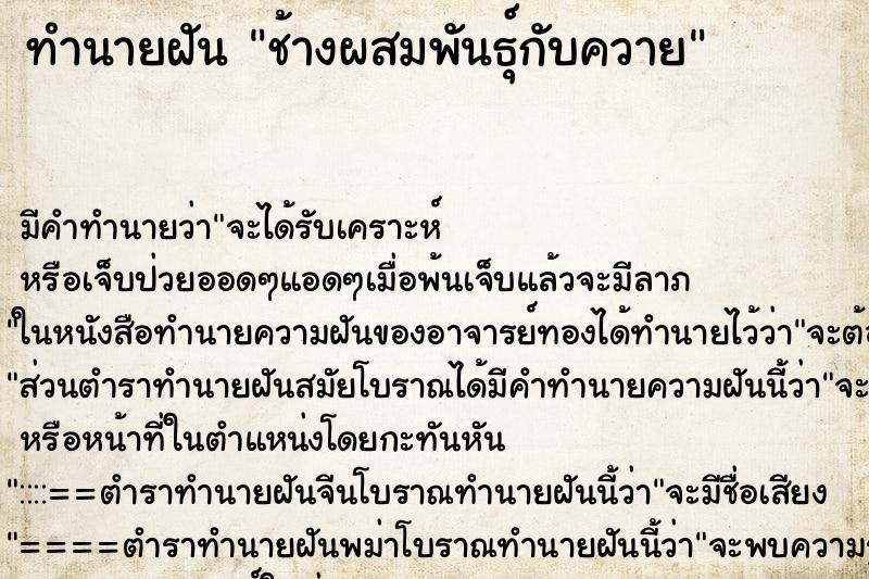 ทำนายฝันช้างผสมพันธุ์กับควาย ทำนายฝันทำนายฝันช้างผสมพันธุ์กับควาย