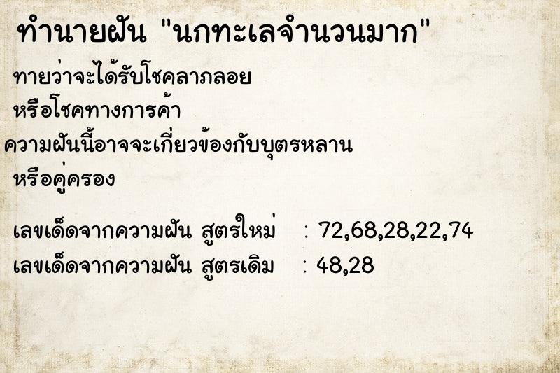ทำนายฝันนกทะเลจำนวนมาก ทำนายฝันทำนายฝันนกทะเลจำนวนมาก