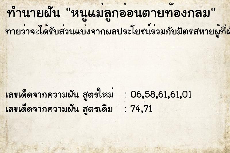 ทำนายฝันทำนายฝันหนูแม่ลูกอ่อนตายท้องกลม